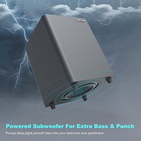 BESTISAN 6.5’’ Subwoofer